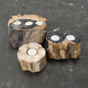 Candle Holder Fossil 1 2 3 Hole