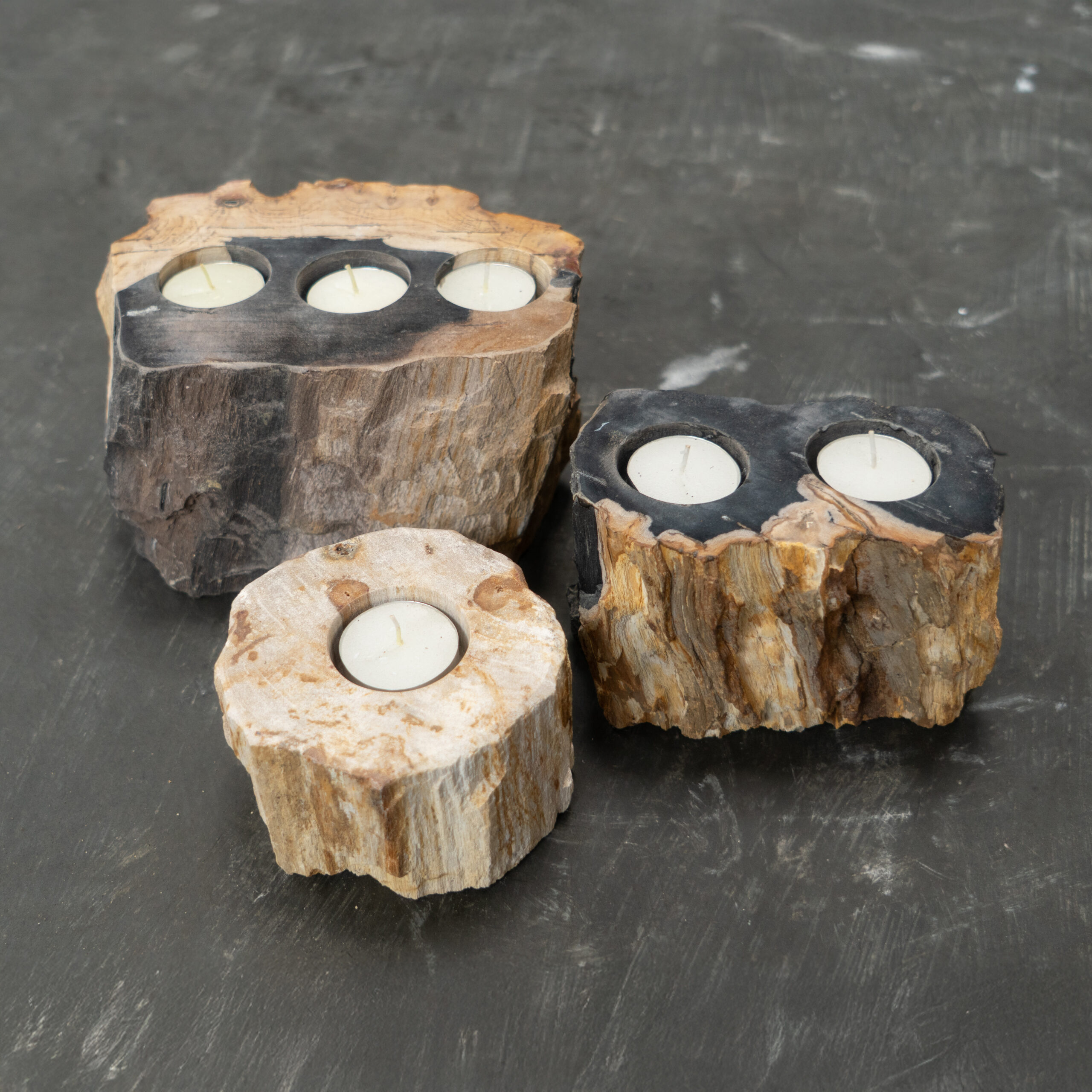 Candle Holder Fossil 1 2 3 Hole