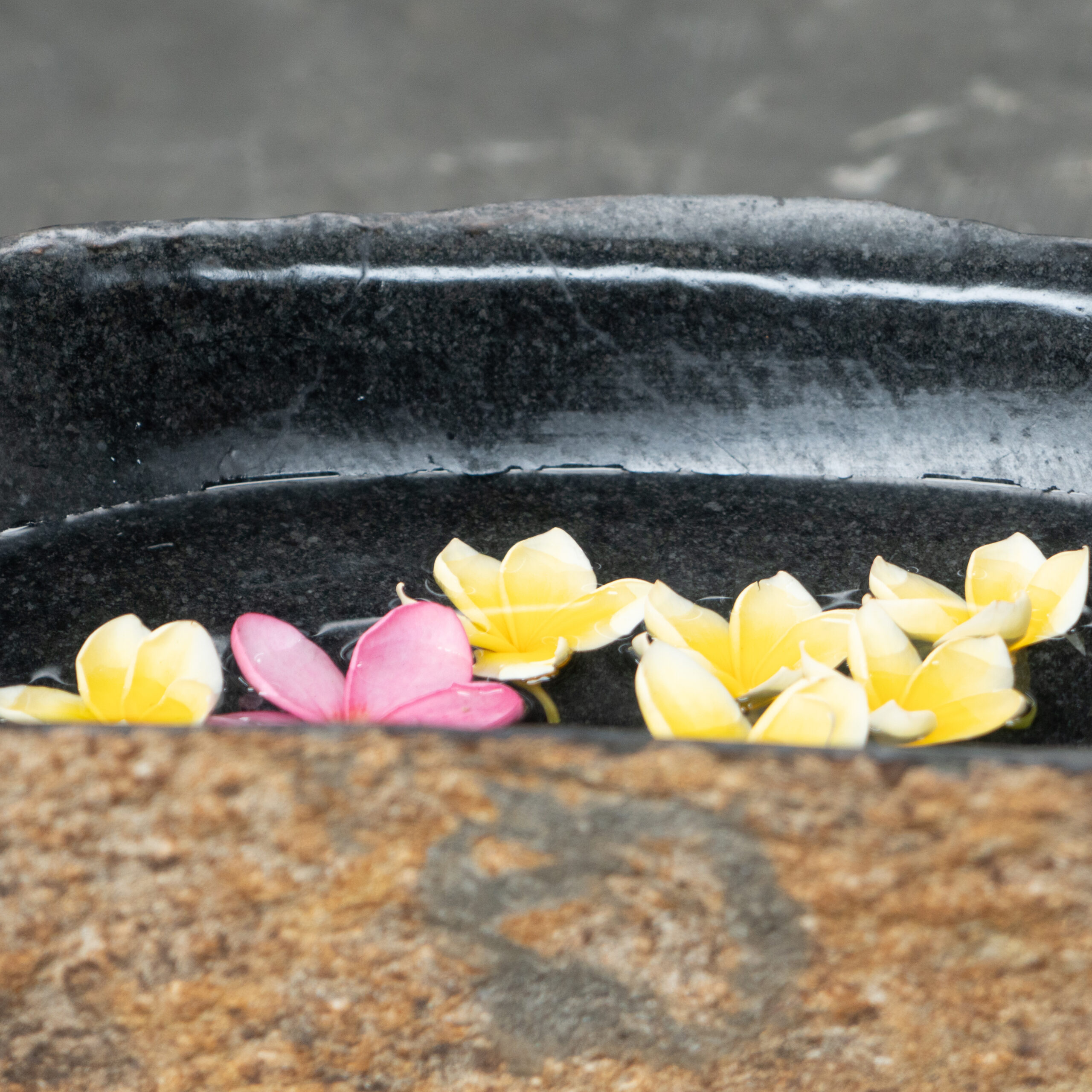 Megalitic Bowl B-02 - Image 7