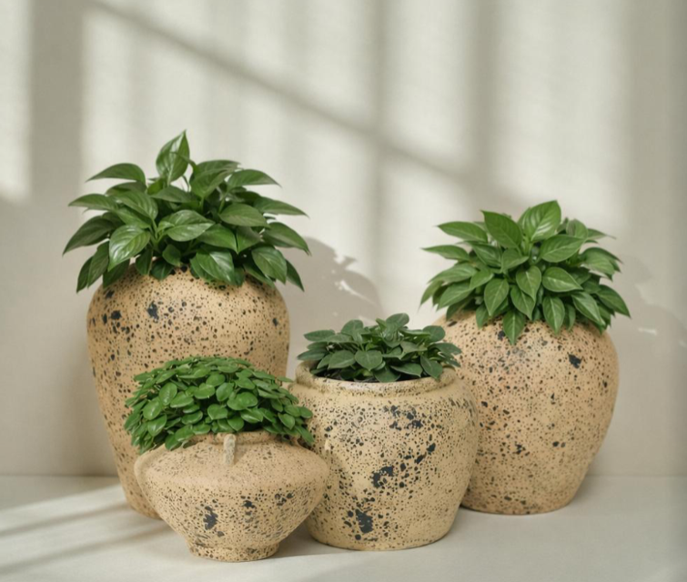 Garden & Vase
